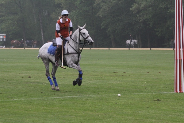 Polo_Art   118.jpg
